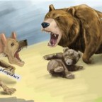 ПОГОВОРИМ О СТРАННОСТЯХ ЗОСИ